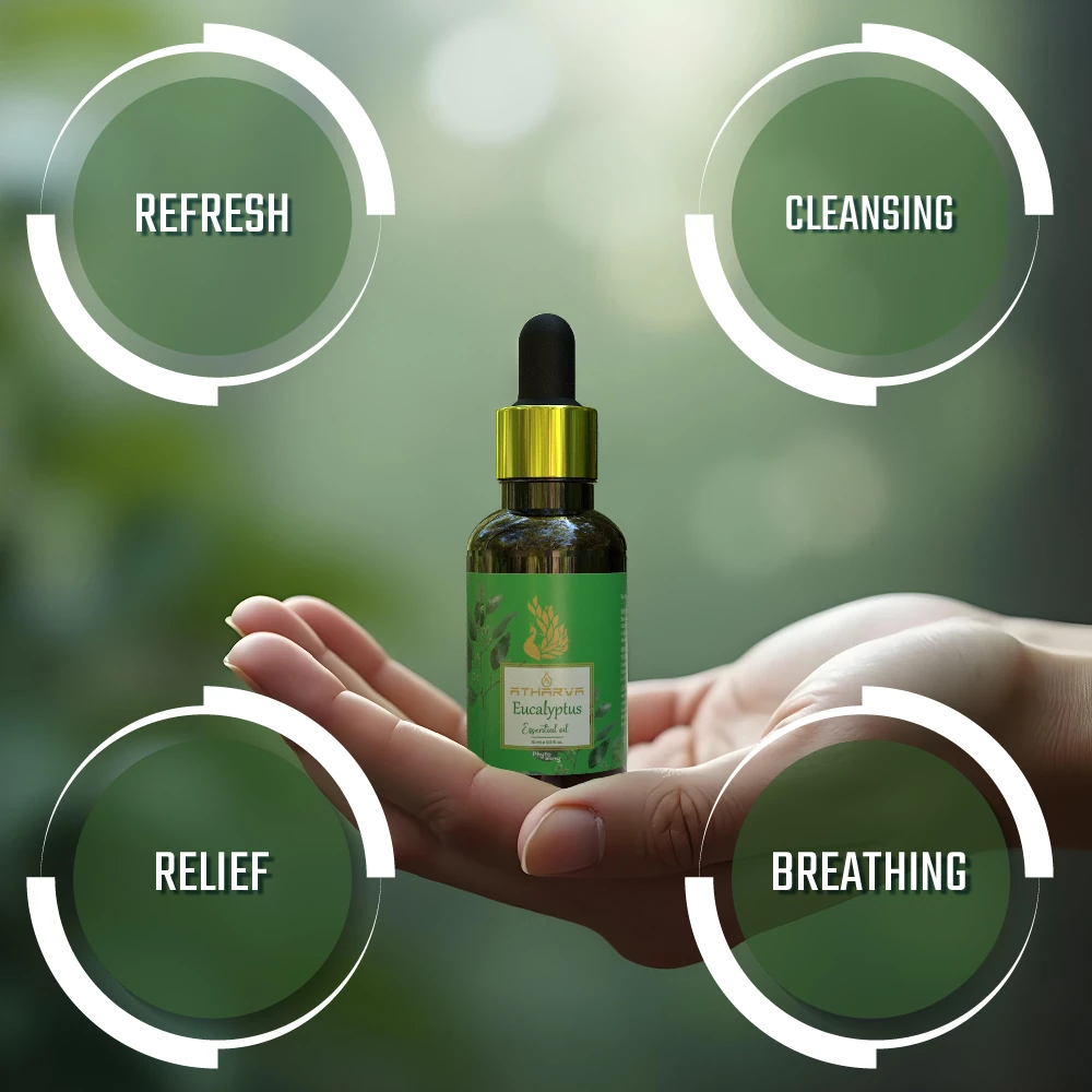 RBV B2B Atharva Eucalyptus Essential Oil (15ml)-12 Pcs.